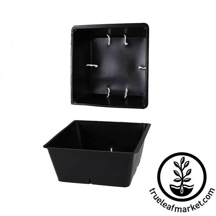 1 Inch Small Plastic Tray (Black)