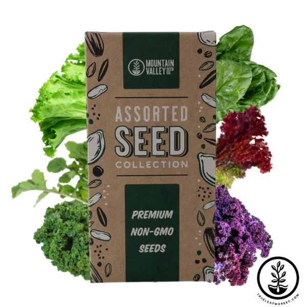 Organic Leafy Greens Seed Assortment - Salad & Lettuce Vegetable