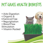 Pet Grass Benefits