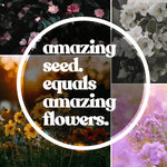 Amazing seed equals amazing flowers supportive photo
