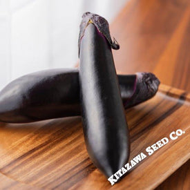 Eggplant Seeds - Shoya Long - Hybrid