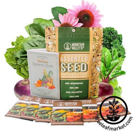 Fall Seed Assortment