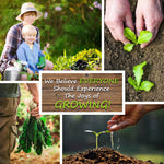 Seed Starter Kit - Medicinal & Herbal Tea - Growing