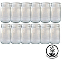 Wide Mouth Mason Jars - Set of 12