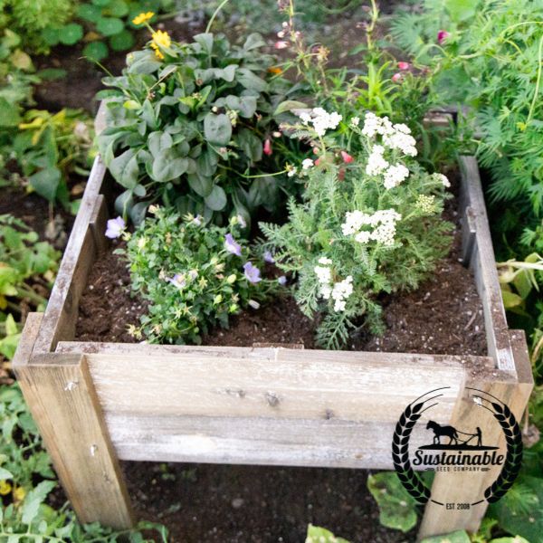Complete Sustainable Home Garden - With Raised Planter With Plants Growing