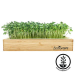 ZestiGreens Microgreens Starter Kit - In Grow Box