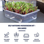 Soil Microgreens Benefits