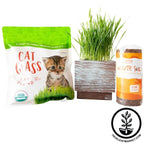 Deluxe Cat Grass Kit With Wooden Planter