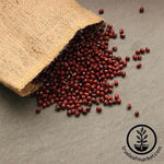 Bulk Adzuki Beans - Certified Organic