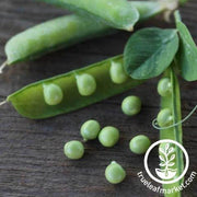 Need help finding the best pea seeds for your needs? Take this short quiz and we will help you choose the best pea seeds. Be sure to hover over the <tool tip image> for important notes on each option.