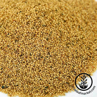 Organic Amaranth Sprouting Seeds