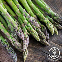 Asparagus Garden Seeds - Mary Washington