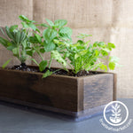 Barnwood Planter Organic Culinary Herb Garden Kit brown grown