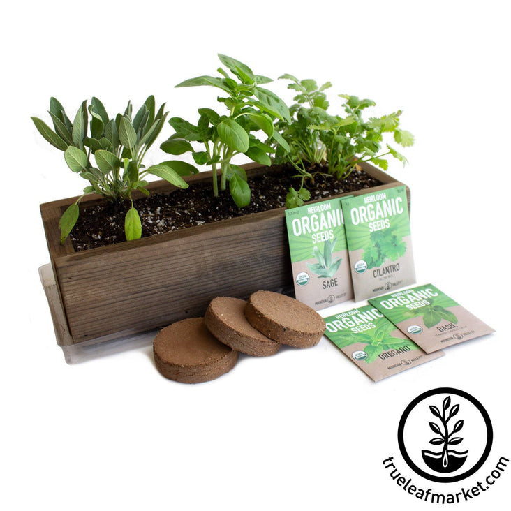 Pick 6 Herb Garden Window Seed Starter Kit cedar Wood Indoor Outdoor  Planter Box Pot for Kitchen Windowsill Patio organic Gardening Gift 