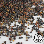 Non-GMO Basic Salad Mix Bulk Close up seed