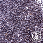 basil micro greens seeds