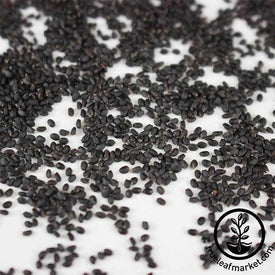 Dark Opal Basil Seeds