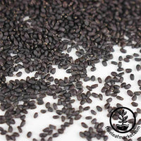 Genovese Basil Seeds