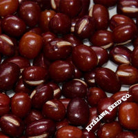 Adzuki Bean - Dainagon