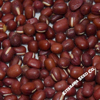 Adzuki Bean - Wase