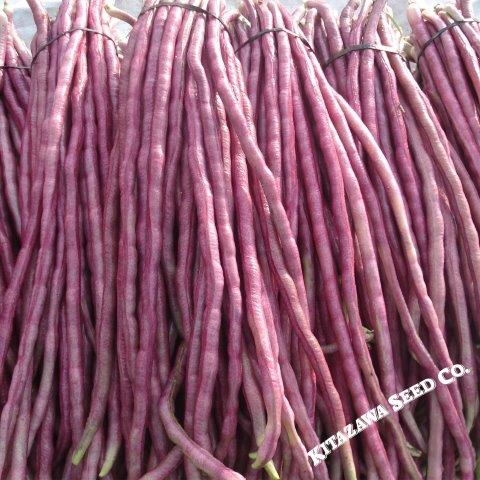 Yard Long Bean - Mosaic