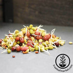 Non-GMO Organic Bean Salad Sprouting Mix