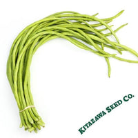 Yard Long Bean - White Seeded