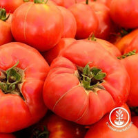 Organic Pink Beauty Heirloom Tomatoes, 1 lb, Terra Firma Farm