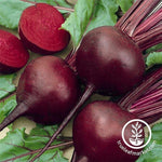 detroit dark red beet seeds