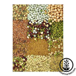 12 different types of Organic sprout seeds