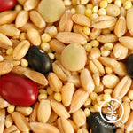 Close up of Biblical Grain Mix