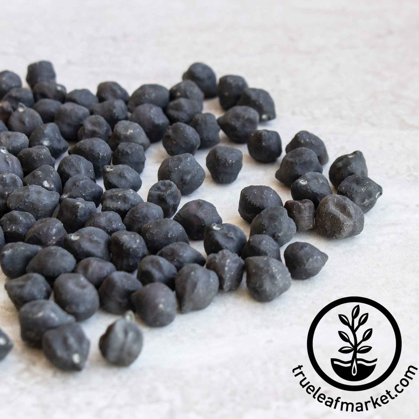 Black Butte Chickpeas (Black Garbanzo Beans) Organic 10lbs Pacific