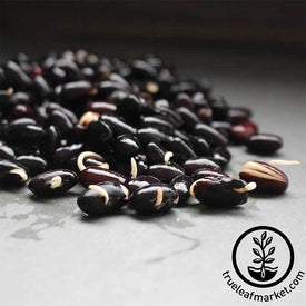 Non-GMO Organic Black Turtle Beans