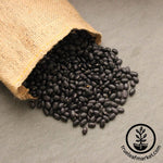 Beans: Black Turtle - Organic 1 lb