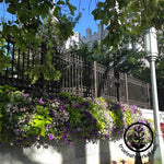 Planter box with flowers