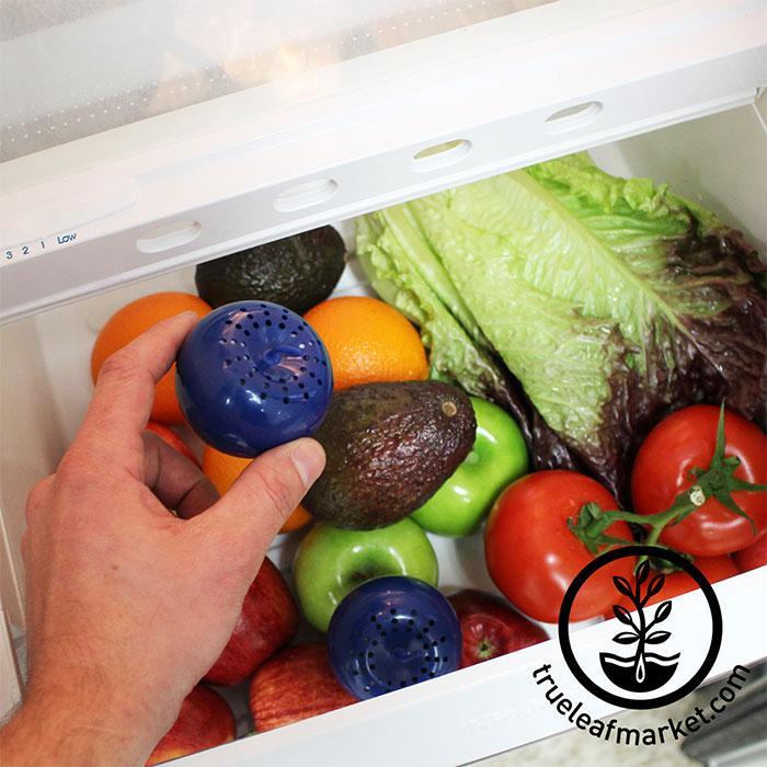 Bluapple Produce Saver 2-Pack - Keeps Fruits & Vegetables Fresh Longer in  Refrigerator Crisper, Shelves, and Fruit Bowls, Lasts up to 3 Months