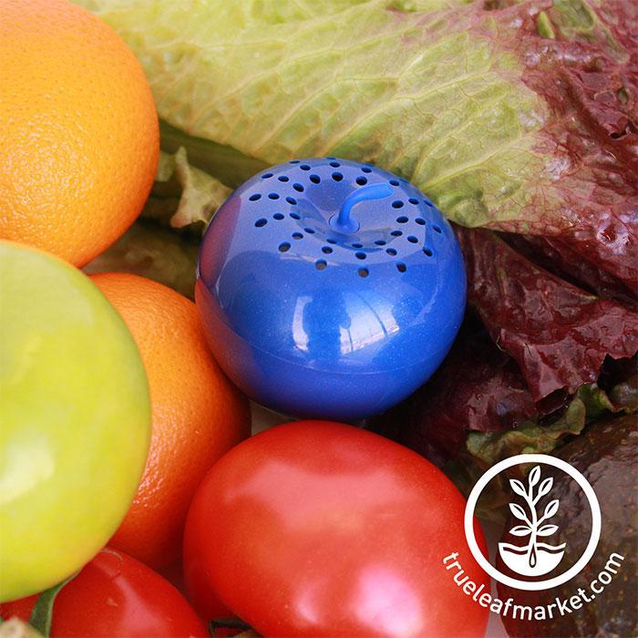  Bluapple Produce Freshness Saver Balls With Carbon - Extend  Life Of Fruits And Vegetables by Absorbing Ethylene Gas - Keeps Produce  Fresher Longer And Also Absorbs Odors From The Refrigerator: Home