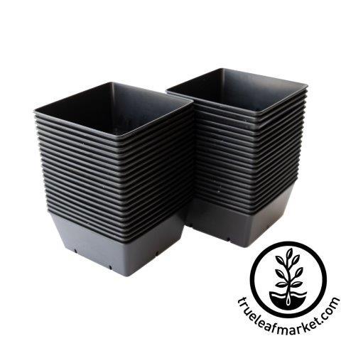 1010 Seed Starting Trays  Order Extra-Strength 10x10 Trays - Bootstrap  Farmer