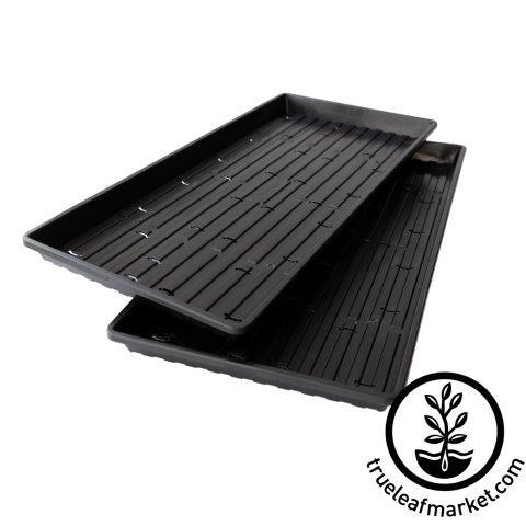 1020 Heavy Duty Microgreens Trays - With Holes - Shallow 2 Pack