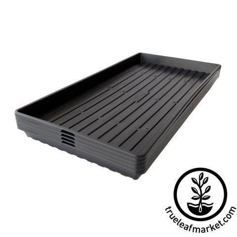 Tray in Black S