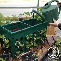 Bloom Master Water Retention Planter Box Kit