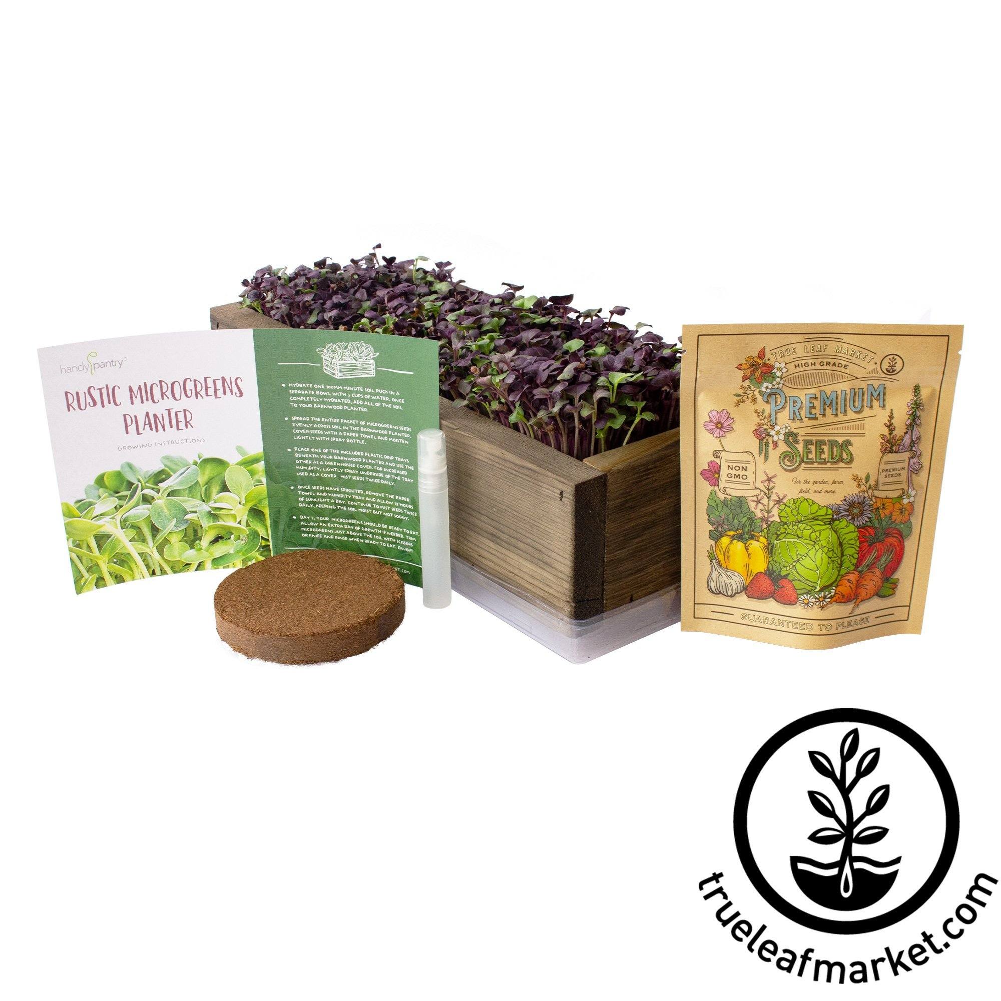 Seed Box - The Daily Garden