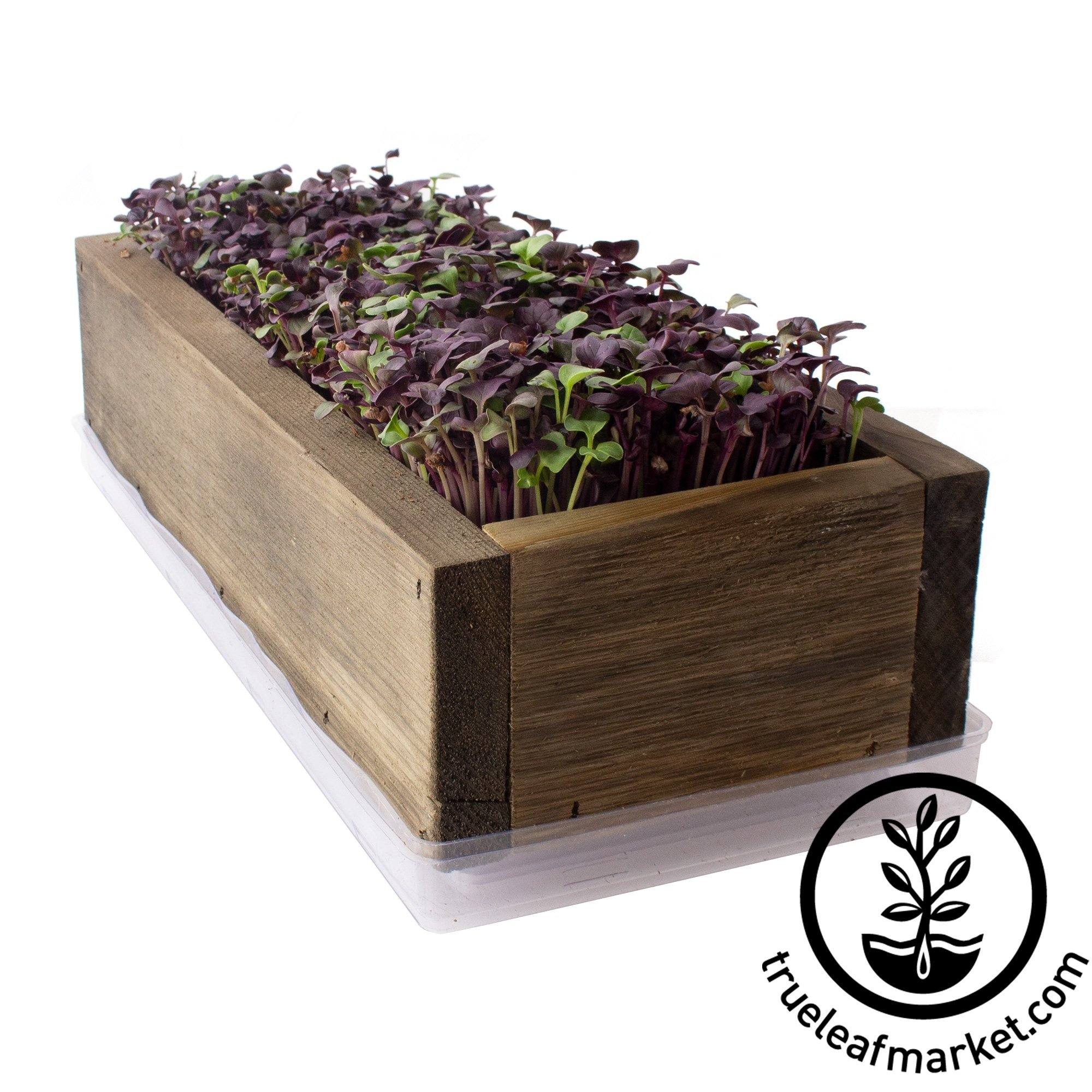 Wood Planter Box, For Microgreens, Wheatgrass, More