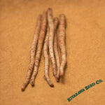 Burdock Seeds - Salada Musume