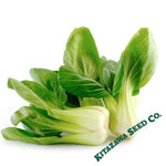 Cabbage Seeds - Pak Choi - Little Shanghai - Hybrid