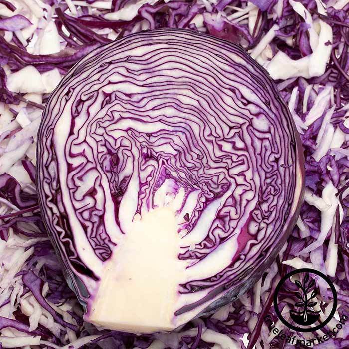 red cabbage leaf