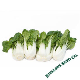 Cabbage Seeds - Pak Choi - Extra Dwarf