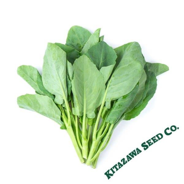 Chinese Cabbage Seeds - Ryokuho - Hybrid