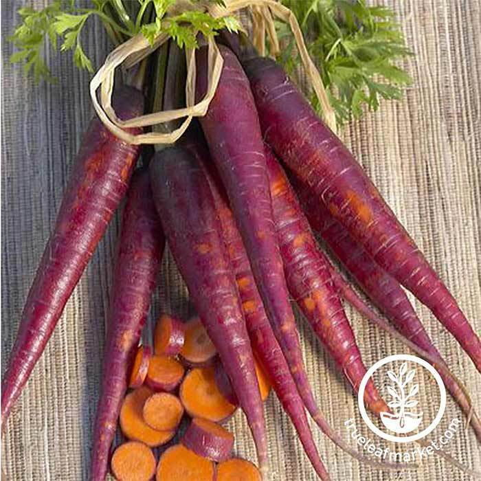 purple carrot seeds