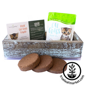 aged barnwood style cat grass kit